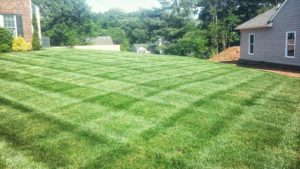 Superior Lawn and Landscaping